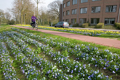 BUITEN BEELD Foto: 90418