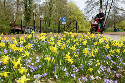 BUITEN BEELD Foto: 90420