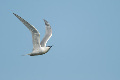 BUITEN BEELD Foto: 90479