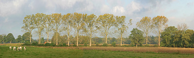 BUITEN BEELD Foto: 90523