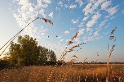 BUITEN BEELD Foto: 90544