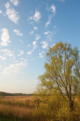 BUITEN BEELD Foto: 90547