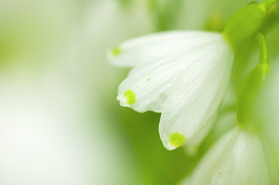 BUITEN BEELD Foto: 90568