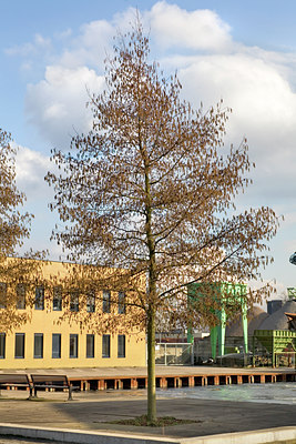 BUITEN BEELD Foto: 90612