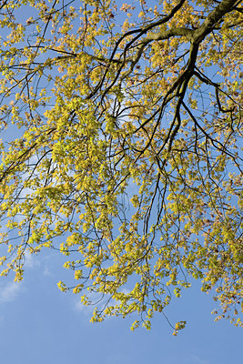 BUITEN BEELD Foto: 90640