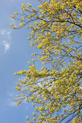 BUITEN BEELD Foto: 90641