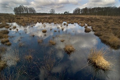 BUITEN BEELD Foto: 90658