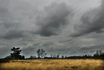 BUITEN BEELD Foto: 90661