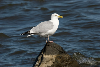 BUITEN BEELD Foto: 90671