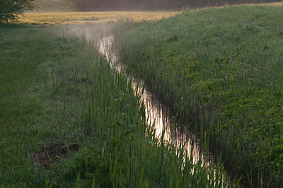 BUITEN BEELD Foto: 90678