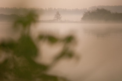 BUITEN BEELD Foto: 90680