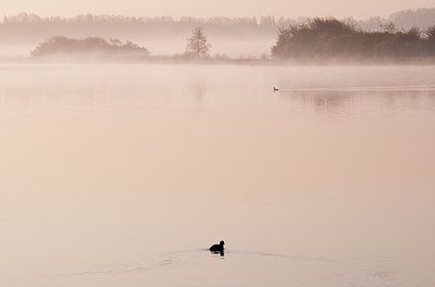 BUITEN BEELD Foto: 90683