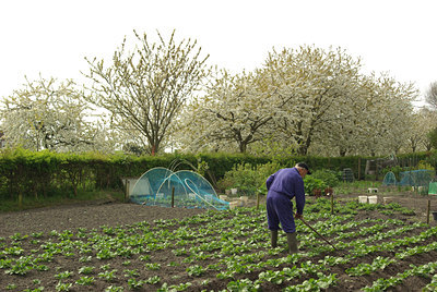 BUITEN BEELD Foto: 90795