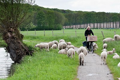 BUITEN BEELD Foto: 90835
