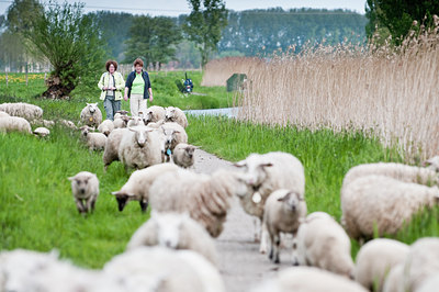 BUITEN BEELD Foto: 90839