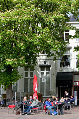 BUITEN BEELD Foto: 90845