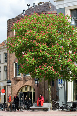 BUITEN BEELD Foto: 90863
