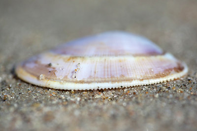 BUITEN BEELD Foto: 90894