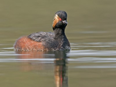 BUITEN BEELD Foto: 90917