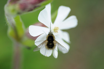 BUITEN BEELD Foto: 90950