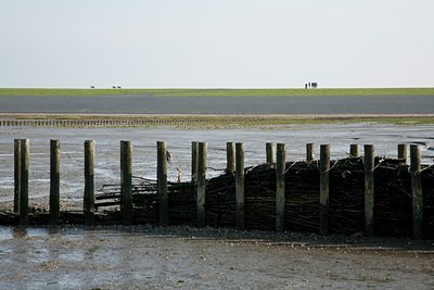 BUITEN BEELD Foto: 91012