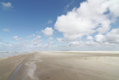 BUITEN BEELD Foto: 91018