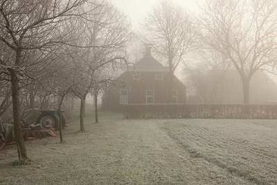 BUITEN BEELD Foto: 91021