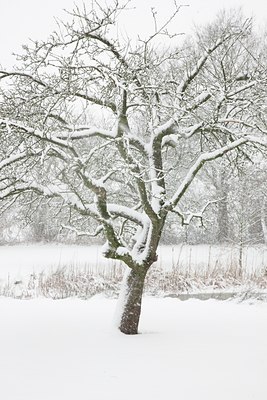 BUITEN BEELD Foto: 91027