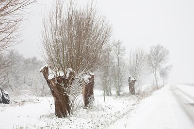 BUITEN BEELD Foto: 91030