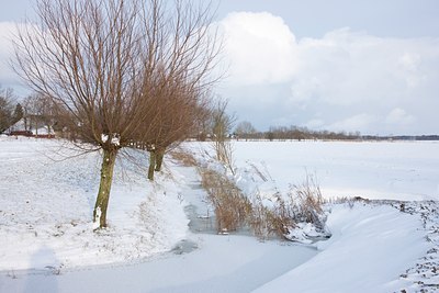 BUITEN BEELD Foto: 91037
