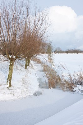 BUITEN BEELD Foto: 91038
