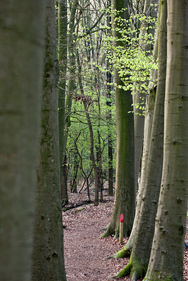 BUITEN BEELD Foto: 91047