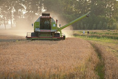 BUITEN BEELD Foto: 91062