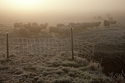 BUITEN BEELD Foto: 91138
