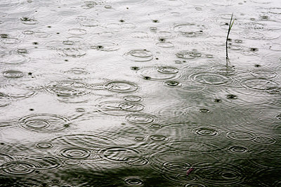 BUITEN BEELD Foto: 91167