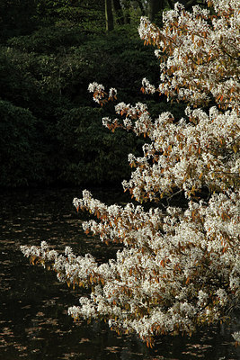 BUITEN BEELD Foto: 91192
