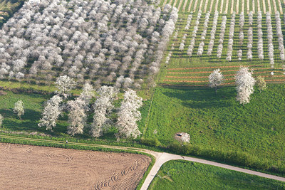 BUITEN BEELD Foto: 91269