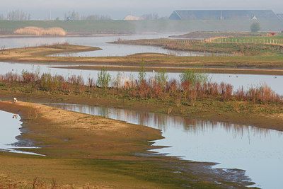 BUITEN BEELD Foto: 91279