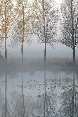 BUITEN BEELD Foto: 91284
