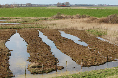 BUITEN BEELD Foto: 91295