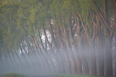 BUITEN BEELD Foto: 91296