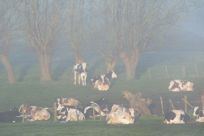 BUITEN BEELD Foto: 91302