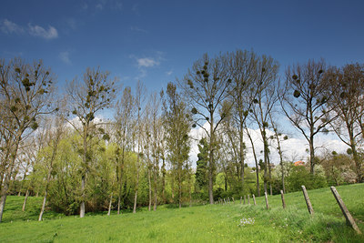 BUITEN BEELD Foto: 91316