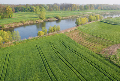 BUITEN BEELD Foto: 91327