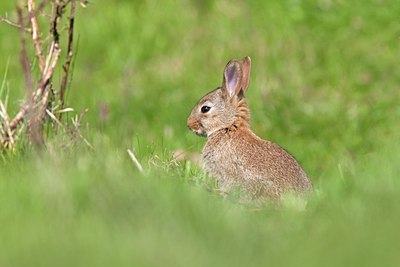 BUITEN BEELD Foto: 91371