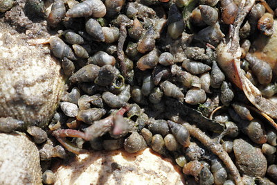 BUITEN BEELD Foto: 91430