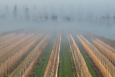 BUITEN BEELD Foto: 91435