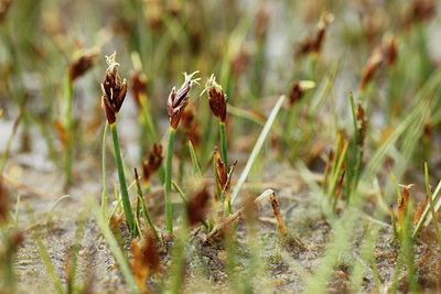 BUITEN BEELD Foto: 91459