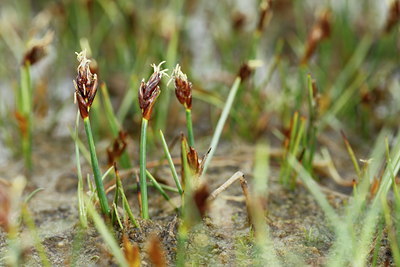 BUITEN BEELD Foto: 91470