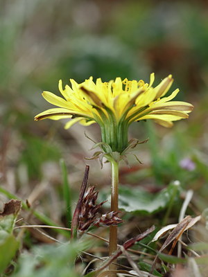 BUITEN BEELD Foto: 91486